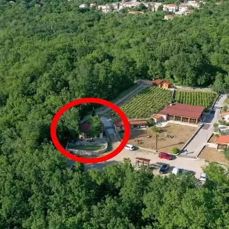 In 45282 Grižane