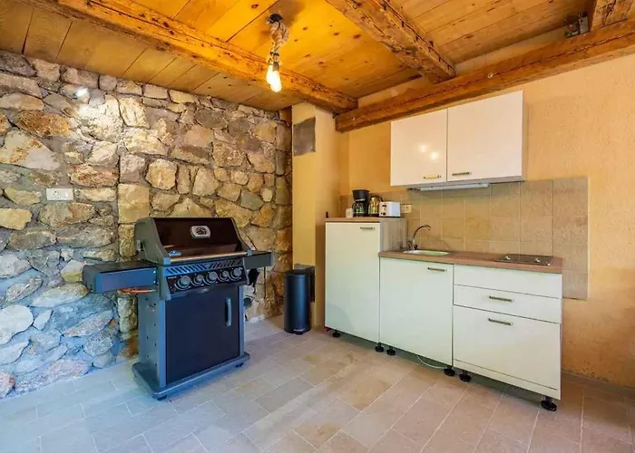 In 45282 Grižane