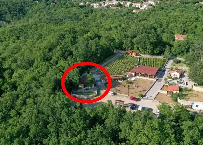 In 45282 Grižane